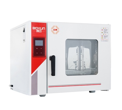 上海 博迅电热鼓风干燥箱 BGZ-240