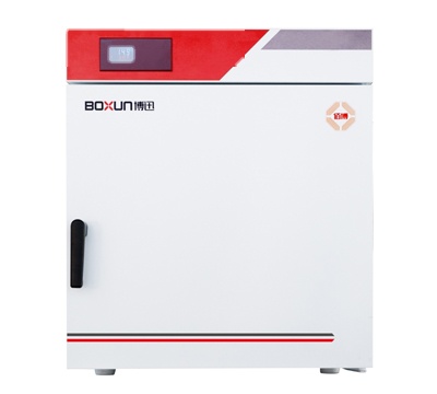 上海博迅电热鼓风干燥箱BGZ-306