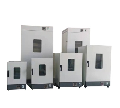 上海冉绘电热恒温鼓风干燥箱DHG-9420A