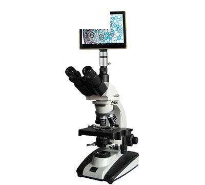 上海彼爱姆 平板电脑UIS相衬显微镜 BM-20APHP