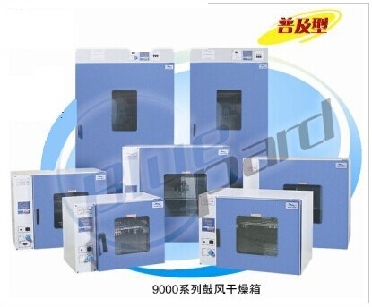 上海一恒电热鼓风干燥箱DHG-9015A