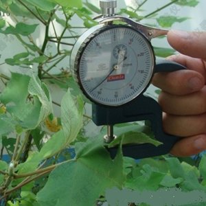 托普云农 YH-1 植物叶片厚度仪