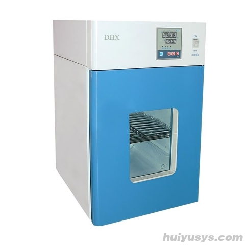 常州国华 DHX-250 电热恒温培养箱