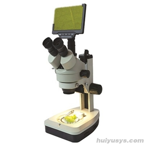 凤凰光学 XTL-165-PB7 体视显微镜