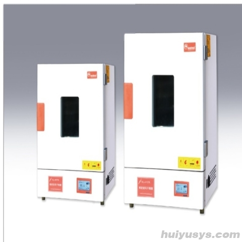 上海齐欣精密立式鼓风干燥箱KLL-9038A