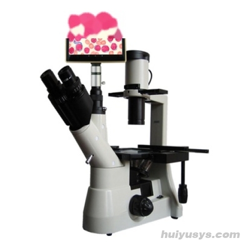 上海彼爱姆 平板电脑型生物显微镜 BM-37XCP