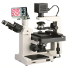 上海彼爱姆 BM-37XFS 倒置生物显微镜