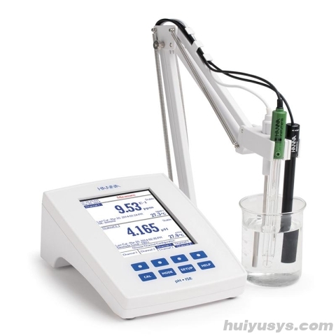 HANNA HI5222-02 专业级台式酸度计 pH/mV/ISE/温度