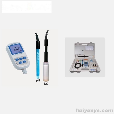 上海三信便携式双参数测量仪 PH/溶解氧仪SX725