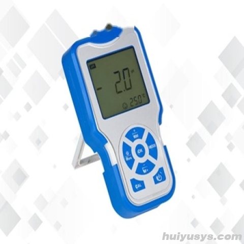 上海佑科便携式PH计P611