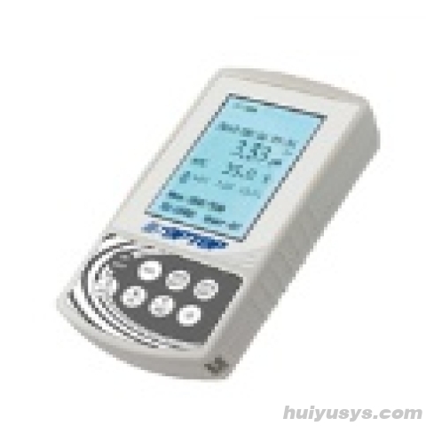 上海恒平PH计pH6231