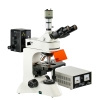 上海彼爱姆 BM-22AYC 荧光显微镜