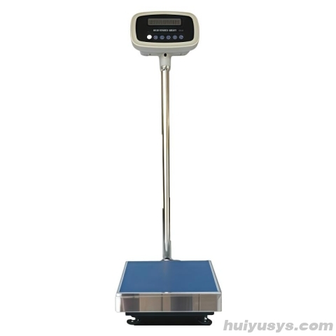 上海菁华 YP300KN-10 精密电子天平