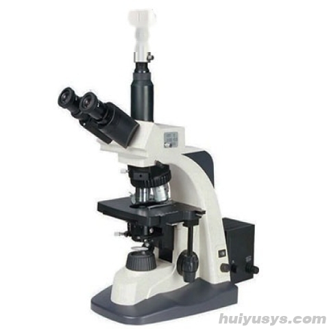 上海彼爱姆 电脑高级相衬生物显微镜BM-SG10PHD