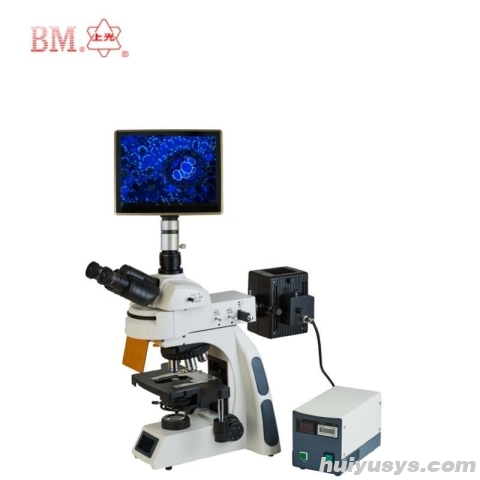 上海彼爱姆 BM-21AYF4P 荧光显微镜