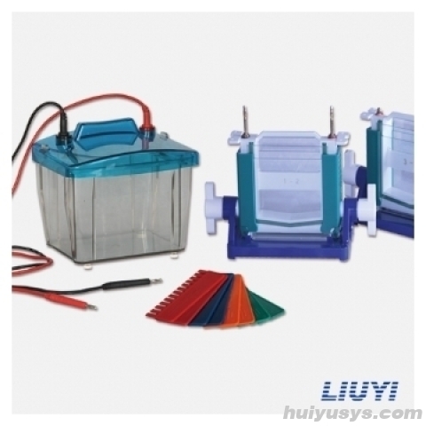 北京六一 DYCZ-25D 双垂直电泳仪