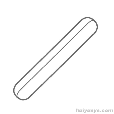 艾卡 IKA FLON 50 power 强力型磁力搅拌子套装 (5 Pcs)，SmSo PTFE涂层