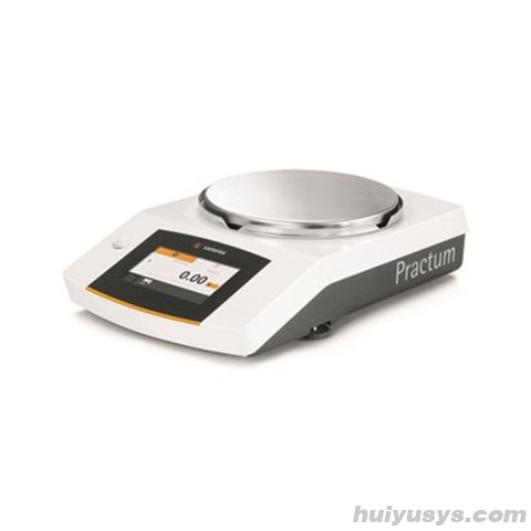 赛多利斯 Sartorius Practum6101-1CN 电子天平