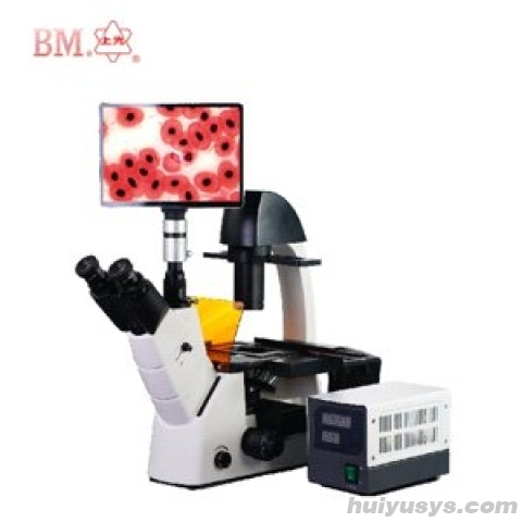 上海彼爱姆 BM-37XYIIIP 平板电脑型倒置荧光显微镜