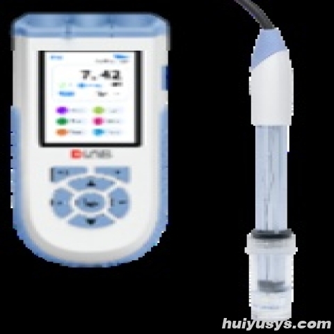 北京大龙DPH10便携式pH计