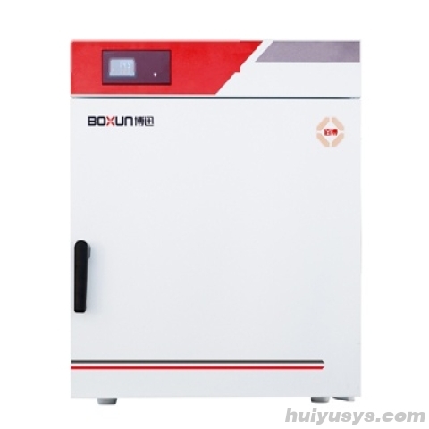上海 博迅电热鼓风干燥箱 BGZ-246