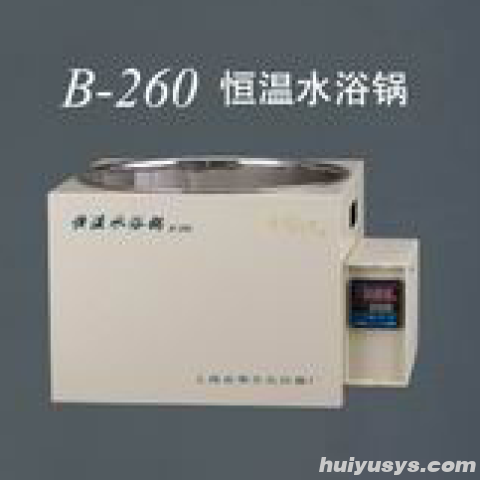 上海亚荣恒温水浴锅B-260