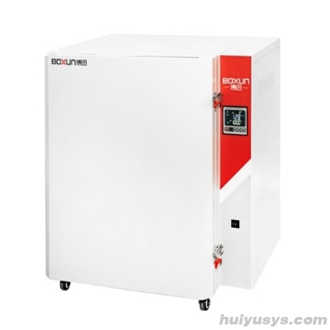 上海博迅高温鼓风干燥箱BGG-248