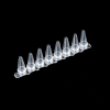 爱思进 Axygen-PCR PCR联排管