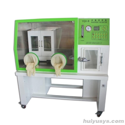 上海精其 YQX-II 厌氧培养箱
