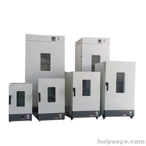 上海冉绘电热恒温鼓风干燥箱DHG-9426A