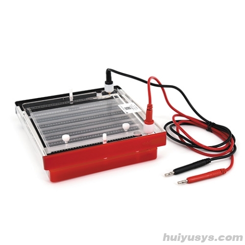 北京六一 DYCP-44P 快速凝胶电泳仪电泳槽