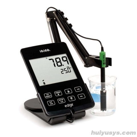 HANNA HI2040-02 平板溶解氧-饱和溶解氧测定仪 含仪器及DO电极