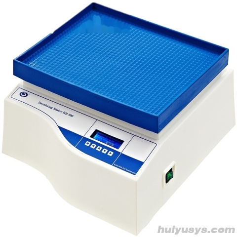 其林贝尔智能脱色摇床 KB-900