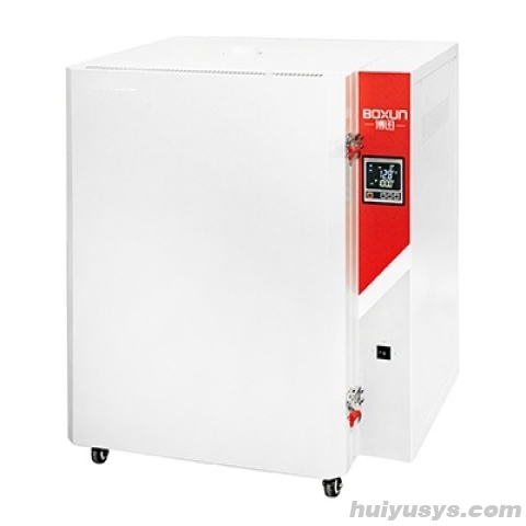 上海博迅高温鼓风干燥箱BGG-249