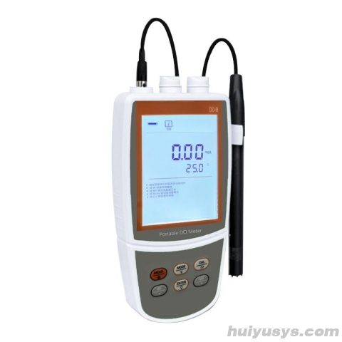 Bante DO-8 便携式溶解氧仪 配美国DO100溶解氧电极