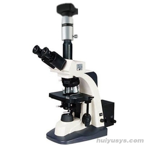 上海彼爱姆电脑高级生物显微镜BM-SG10D