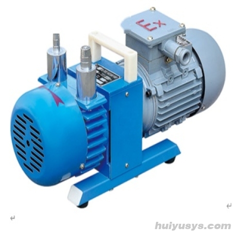 临海谭氏防爆无油真空泵WXF-2 三相