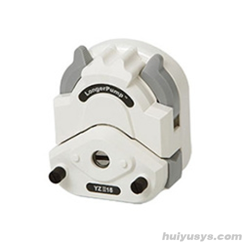 保定兰格蠕动泵泵头YZⅡ25