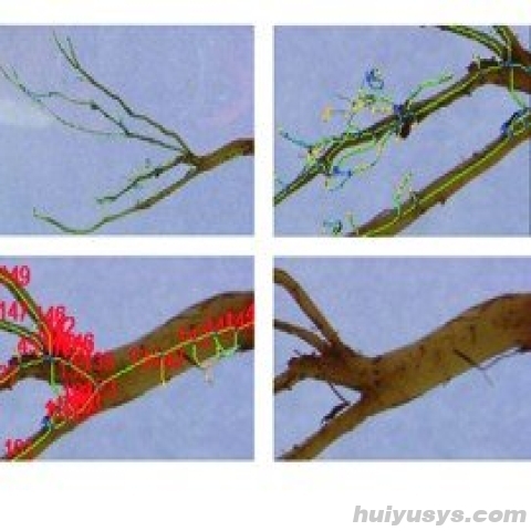 托普云农 GXY-A 植物根系分析仪