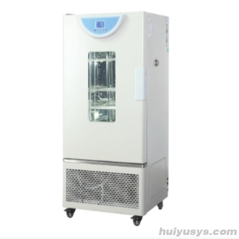 上海一恒霉菌培养箱BPMJ-250F-液晶