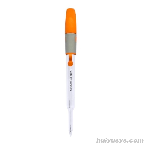 般特 P19 pH 电极 适用于测量半固体物质