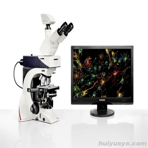 徕卡荧光显微镜DM2500