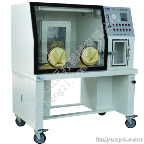 跃进 HENGZI HYQX-I 厌氧培养箱