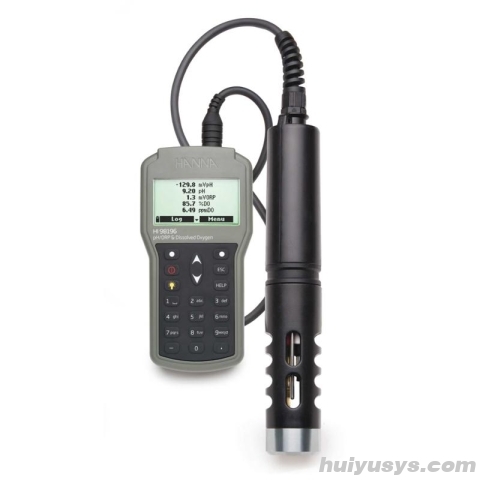 HANNA HI98196/10 水质分析测定仪 10米线长