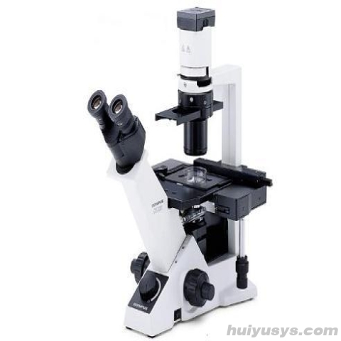 奥林巴斯临床级倒置显微镜CKX31