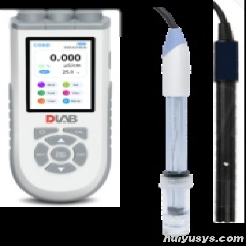 北京大龙DPD10便携式pH/溶解氧仪