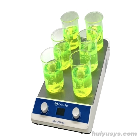 其林贝尔多联磁力搅拌器GL-6250-6A