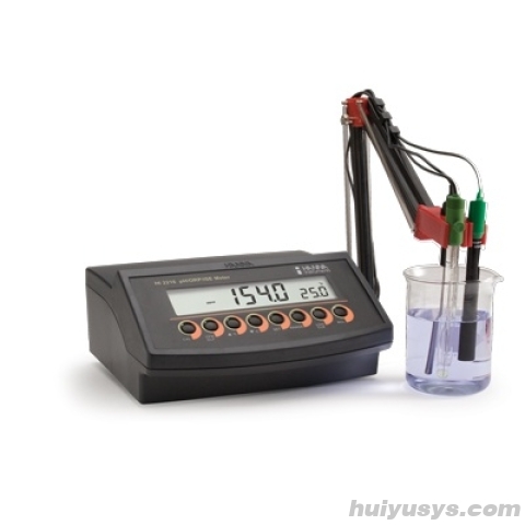 哈纳沃德微电脑 pH-ORP-ISE-oC/oF 测定仪HI2216