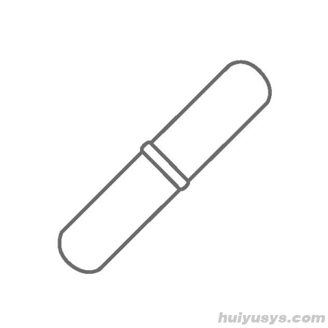 IKA配件：FLON 50 slide round，枢轴型磁力搅拌子套装 (5 Pcs)，PTFE涂层