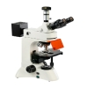 上海彼爱姆 BM-22BYD 荧光显微镜